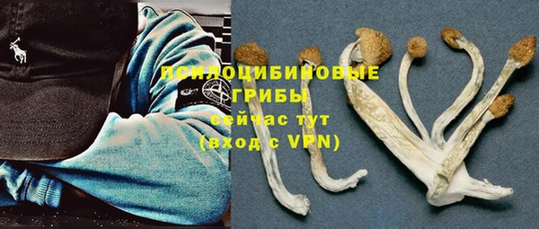 спайс Белокуриха